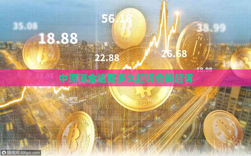 中原消金逾期多久起诉会被起诉