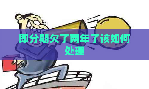 即分期欠了两年了该如何处理