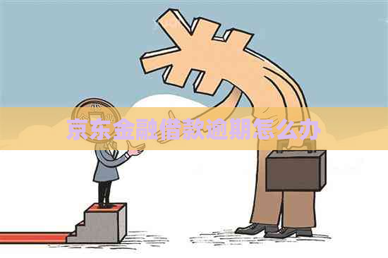 京东金融借款逾期怎么办