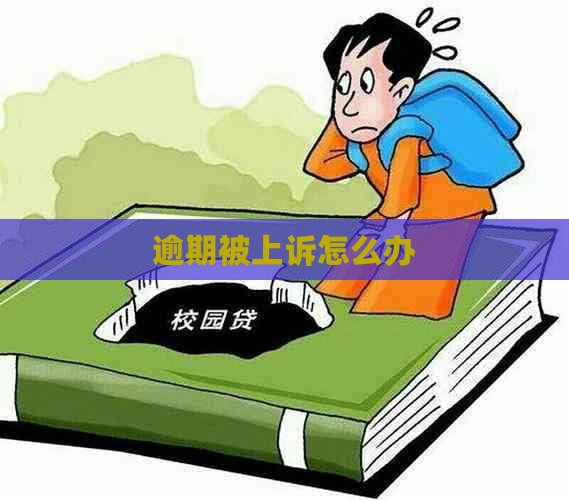 逾期被上诉怎么办