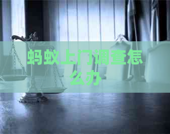 蚂蚁上门调查怎么办