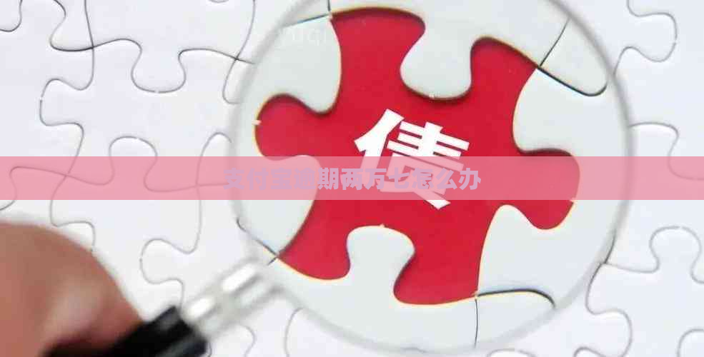 支付宝逾期两万七怎么办