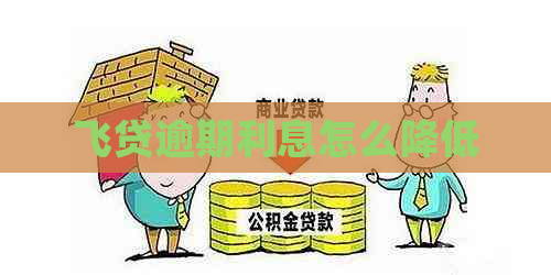 飞贷逾期利息怎么降低