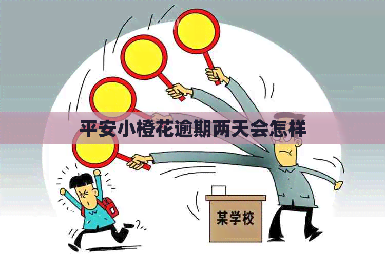 平安小橙花逾期两天会怎样
