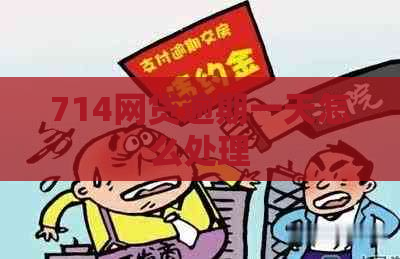 714网贷逾期一天怎么处理