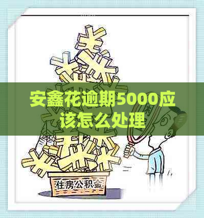 安鑫花逾期5000应该怎么处理