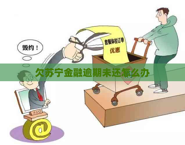 欠苏宁金融逾期未还怎么办