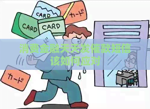 消费金融天天发催款短信该如何应对