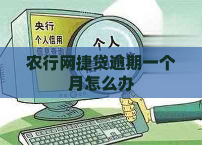 农行网捷贷逾期一个月怎么办