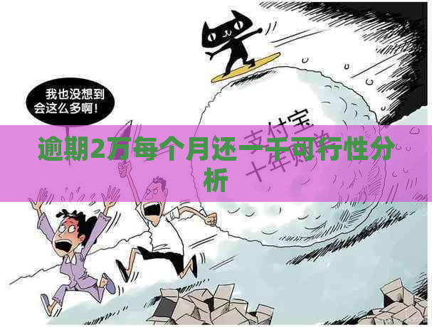逾期2万每个月还一千可行性分析