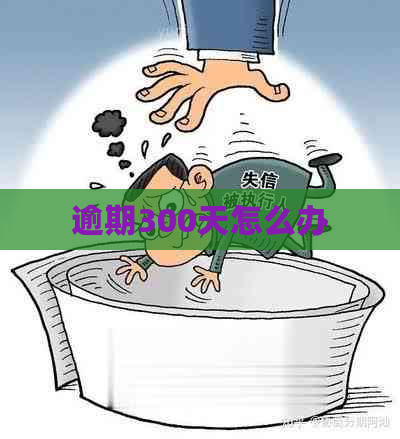 逾期300天怎么办