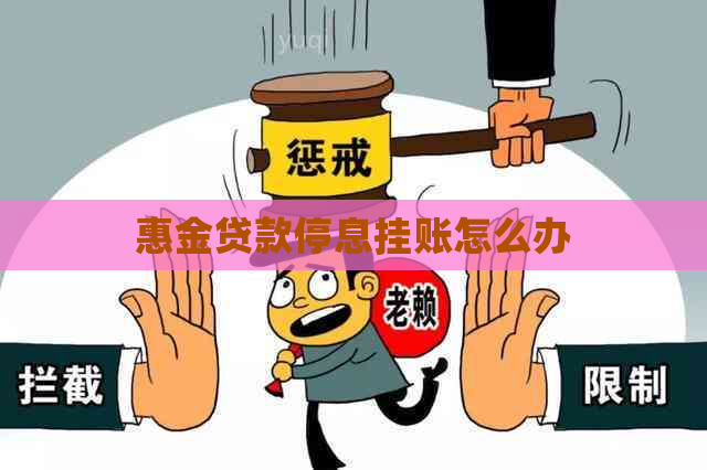 惠金贷款停息挂账怎么办