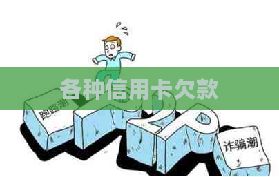 各种信用卡欠款