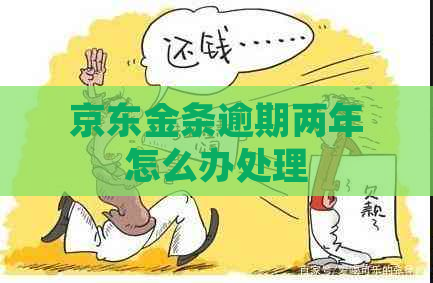 京东金条逾期两年怎么办处理