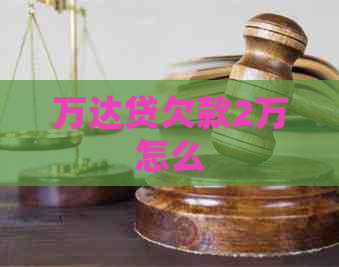 万达贷欠款2万怎么