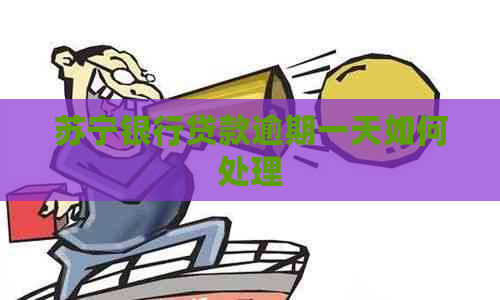 苏宁银行贷款逾期一天如何处理