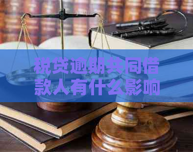 税贷逾期共同借款人有什么影响吗