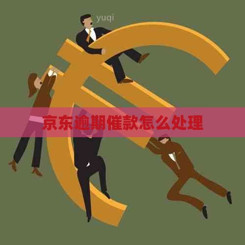 京东逾期催款怎么处理