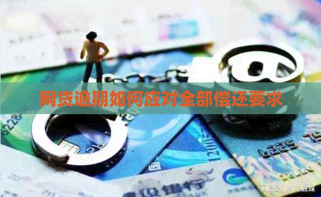 网贷逾期如何应对全部偿还要求