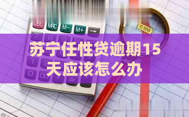 苏宁任性贷逾期15天应该怎么办