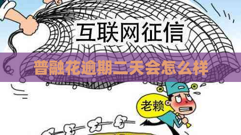 普融花逾期二天会怎么样