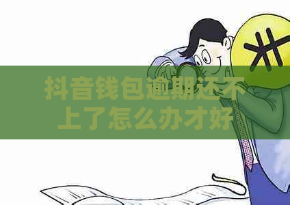 抖音钱包逾期还不上了怎么办才好