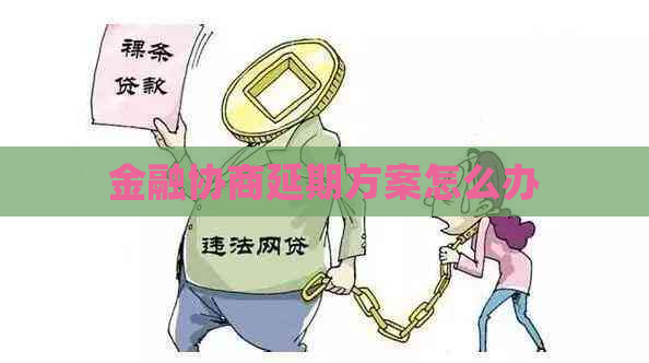 金融协商延期方案怎么办