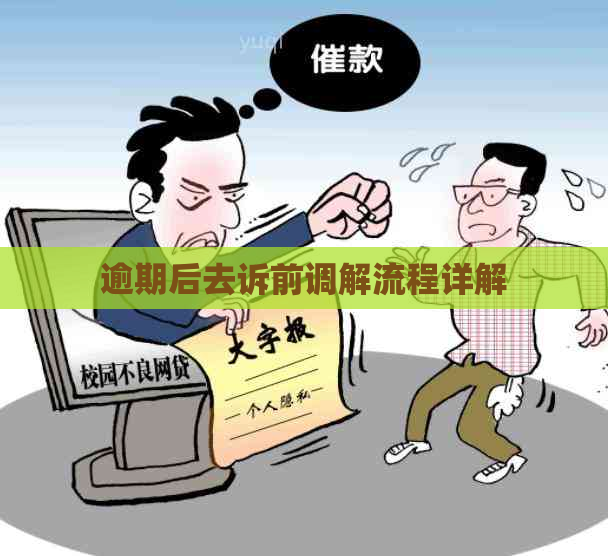 逾期后去诉前调解流程详解