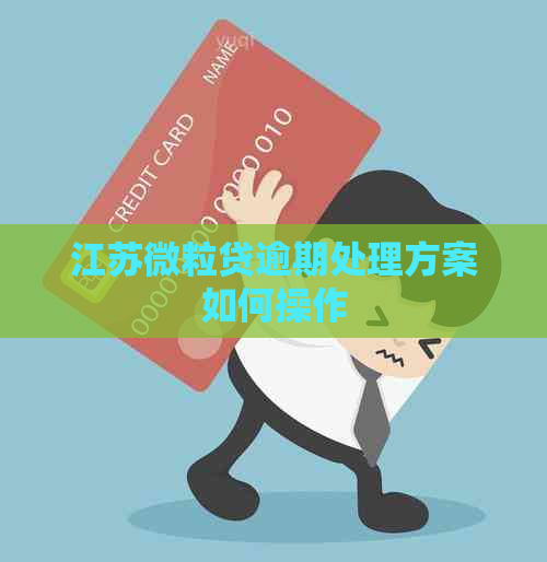 江苏微粒贷逾期处理方案如何操作