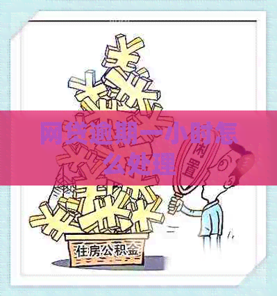 网贷逾期一小时怎么处理