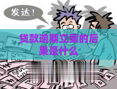 贷款逾期立案的后果是什么
