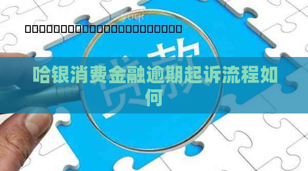 哈银消费金融逾期起诉流程如何