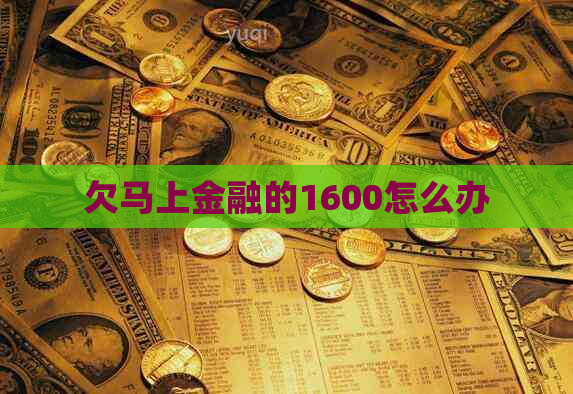 欠马上金融的1600怎么办