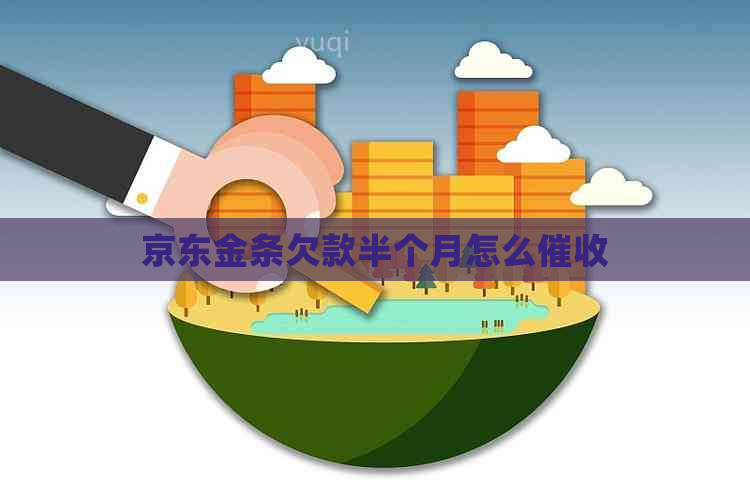 京东金条欠款半个月怎么