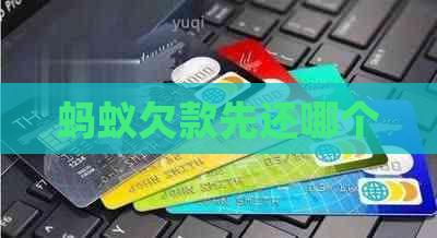 蚂蚁欠款先还哪个