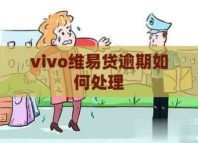 vivo维易贷逾期如何处理