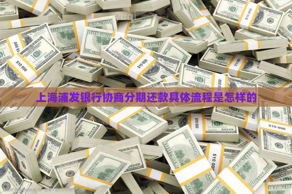 上海浦发银行协商分期还款具体流程是怎样的