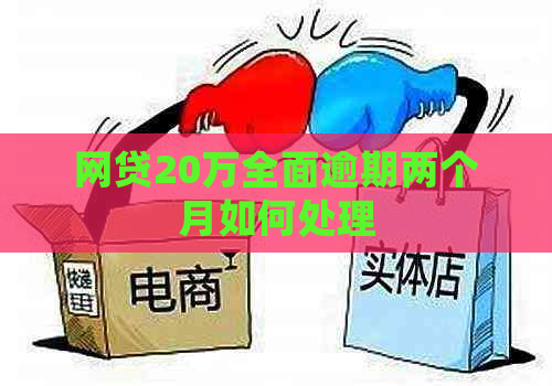 网贷20万全面逾期两个月如何处理