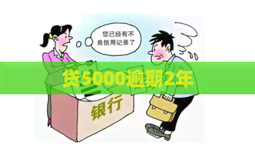 贷5000逾期2年