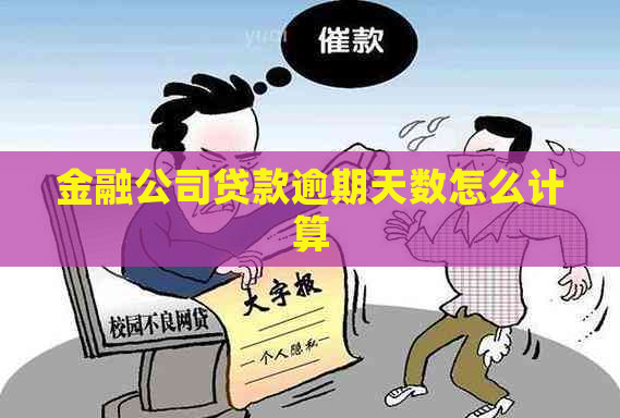 金融公司贷款逾期天数怎么计算