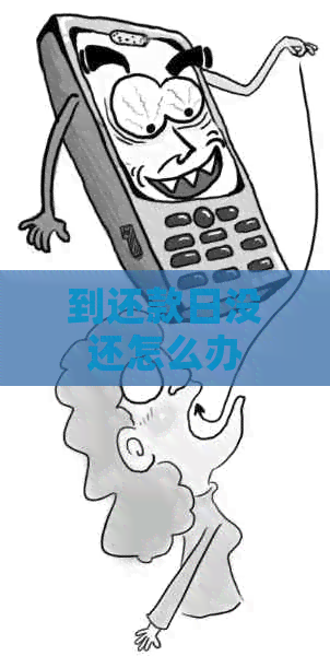 到还款日没还怎么办