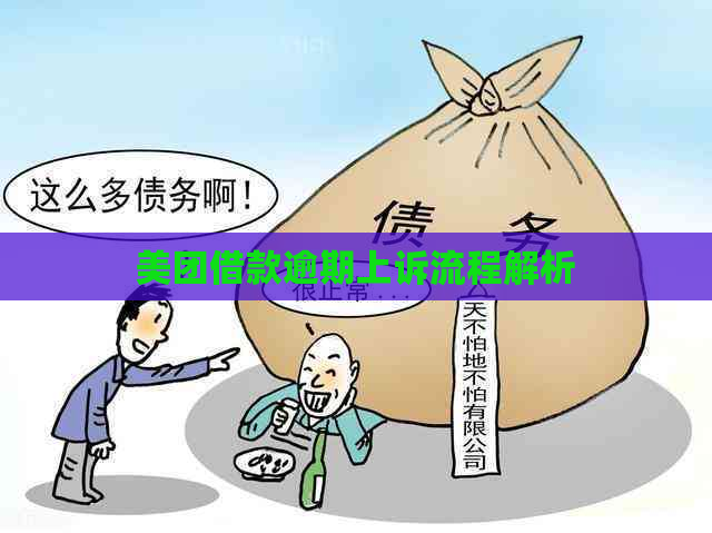 美团借款逾期上诉流程解析