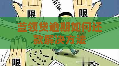 蓝领贷逾期如何还款解决方法