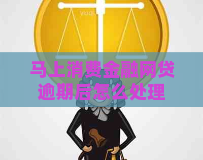 马上消费金融网贷逾期后怎么处理