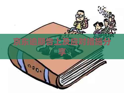京东逾期告上及应对措施分享