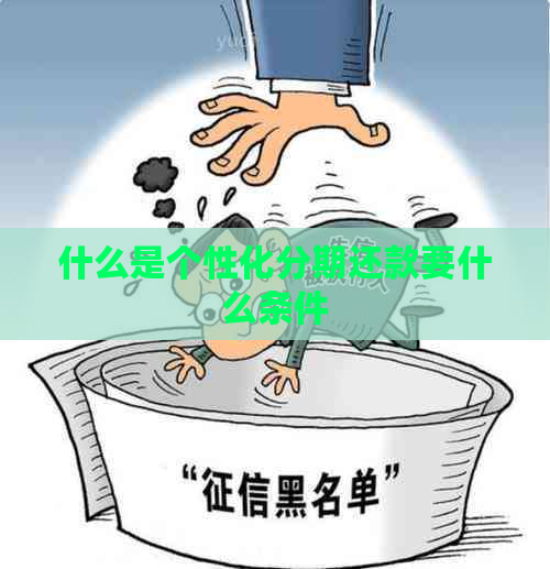 什么是个性化分期还款要什么条件