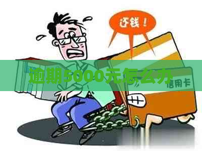 逾期5000元怎么办