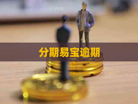 分期易宝逾期
