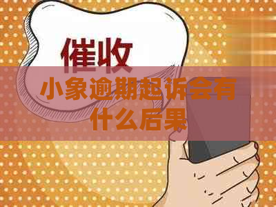 小象逾期起诉会有什么后果
