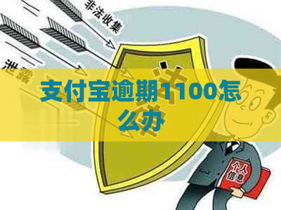 支付宝逾期1100怎么办